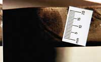 finger print